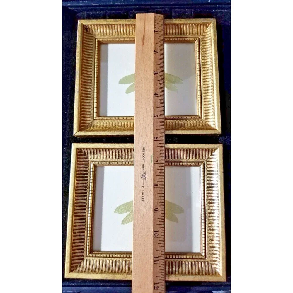 Gold Wood Framed Dragonfly Wall Art Home Decor Set of 2 Gold Dragonfly